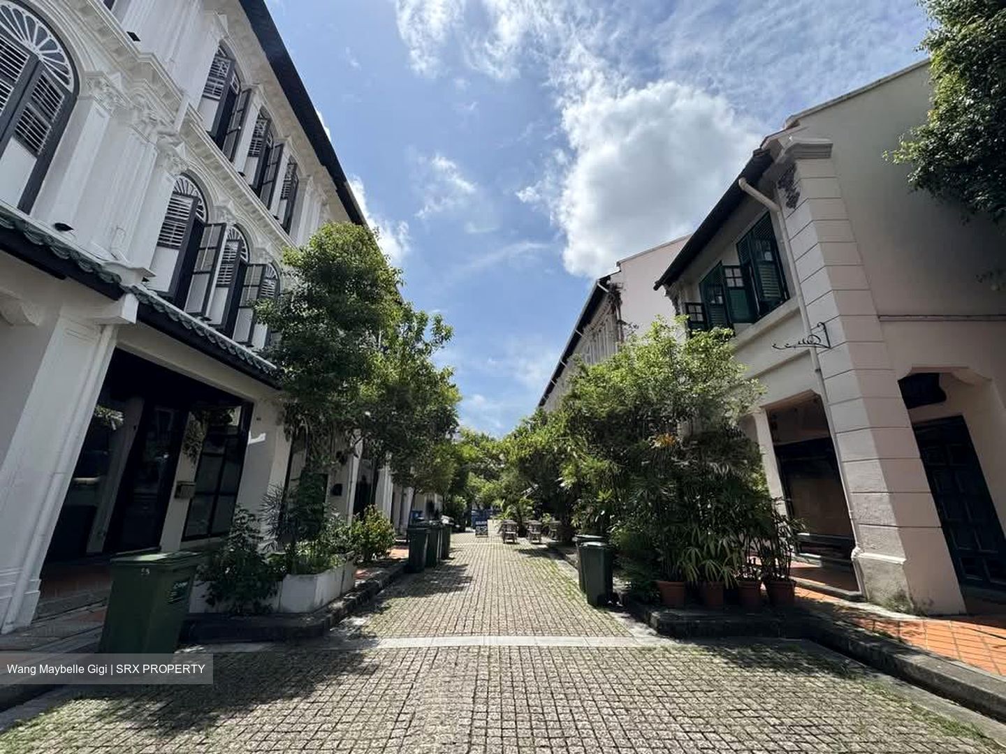 Tanjong Pagar Conservation Area (D2), Office #573651101